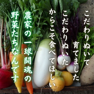 【発送月固定定期便】新鮮野菜!農家厳選の旬のお野菜セット約5～8種類を約3kg～5kg全4回