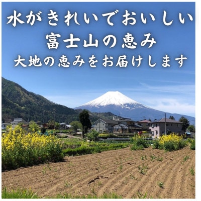 【発送月固定定期便】新鮮野菜!農家厳選の旬のお野菜セット約5～8種類を約3kg～5kg全4回