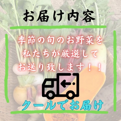 【発送月固定定期便】新鮮野菜!農家厳選の旬のお野菜セット約5～8種類を約3kg～5kg全4回