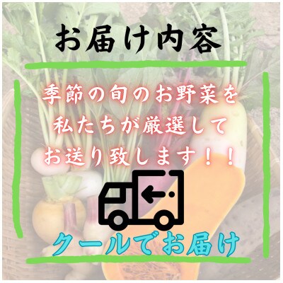 【発送月固定定期便】新鮮野菜!農家厳選の旬のお野菜セット約5～8種類を約3kg～5kg全2回