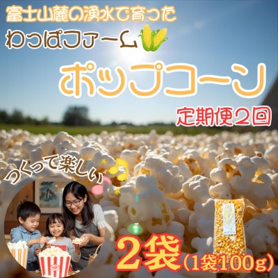 【毎月定期便】【訳あり】おやつ!!有機栽培で作ったこだわりポップコーン2袋(1袋100g)全2回