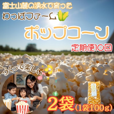 【毎月定期便】【訳あり】おやつ!!有機栽培で作ったこだわりポップコーン2袋(1袋100g)全10回