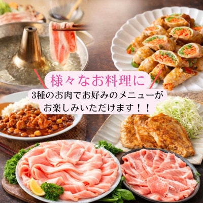 【さとふる限定】富士ヶ峰ポーク豚肉3種セット　合計1.5kg(各500g×3P)