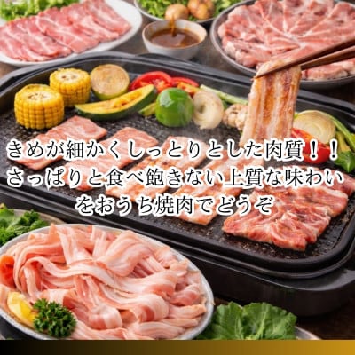 【さとふる限定】富士ヶ峰ポーク豚肉3種セット　合計1.5kg(各500g×3P)