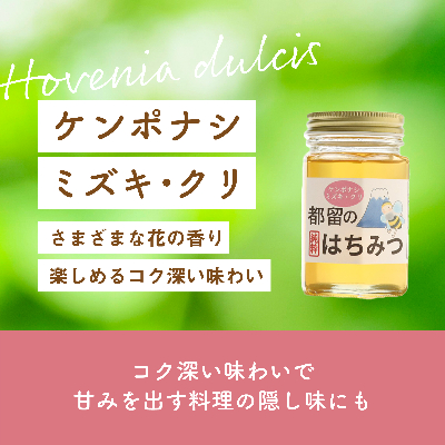 都留のはちみつ(ケンポナシ・ミズキ・クリ)580g　国産はちみつ