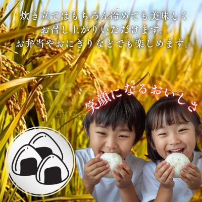 【令和7年産 新米】山梨県西桂町産 富士山麓「水のまち」のこしひかり精米  5kg×1袋