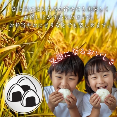 【令和7年産 新米】山梨県西桂町産 富士山麓「水のまち」のこしひかり精米合計10kg(2kg×5袋)