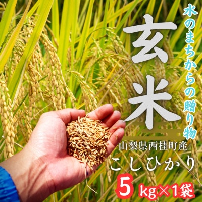 健康志向の方おすすめ【令和7年産】山梨県西桂町産 富士山麓「水のまち」のこしひかり玄米 5kg×1袋
