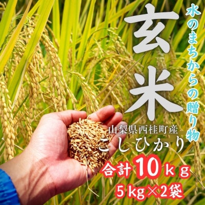 健康志向の方へ【令和7年産】山梨県西桂町産 富士山麓「水のまち」こしひかり玄米 5kg×2袋