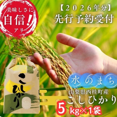 【令和8年産 先行予約受付】富士山麓「水のまち」のこしひかり精米 5kg×1袋　