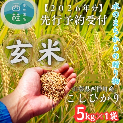 【先行予約受付】山梨県西桂町産 富士山麓「水のまち」の令和8年産こしひかり玄米5kg×1袋