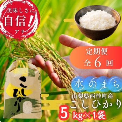 【毎月定期便】山梨県西桂町産 富士山麓「水のまち」のこしひかり精米 5kg×1袋全6回