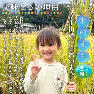 【毎月定期便】山梨県西桂町産 富士山麓「水のまち」のこしひかり精米 5kg×1袋全2回