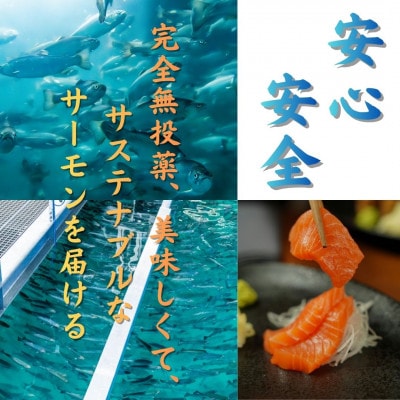 【国産】富士山麓で育った「富士頂純サーモン」の塩こうじ漬け(焼き魚用)1パック4切れ入り