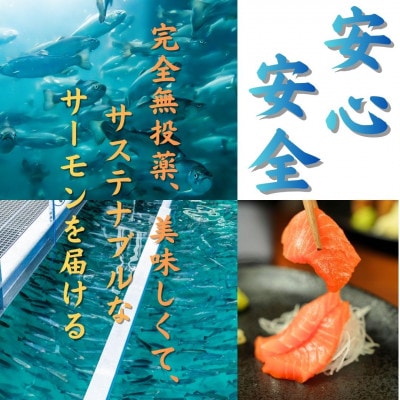 ご飯のお供にピッタリ!!富士山麓育ち 富士頂純サーモン 焼きほぐし瓶詰め　1瓶100g