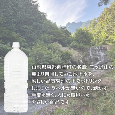 ラベルレス　富士山の自然の恵み美味しいミネラルウォーター甲斐のやさしい水 ～富士山麓～ 2L×6本