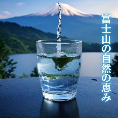 【2ヵ月毎定期便】ラベルレス富士山の恵み!美味しいミネラルウォーター甲斐のやさしい水2L×6本全5回