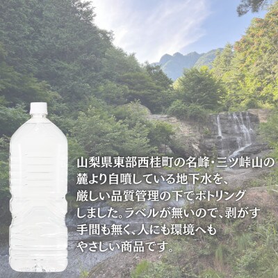 【2ヵ月毎定期便】ラベルレス富士山の恵み!美味しいミネラルウォーター甲斐のやさしい水2L×6本全3回