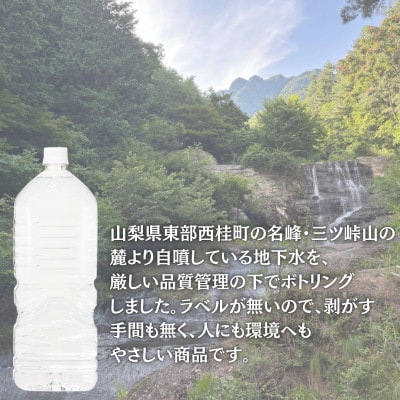 【毎月定期便】【訳あり】ラベルレス　富士山の自然の恵み美味しいミネラルウォーター 　2L×1全10回