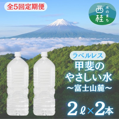 【2ヵ月毎定期便】【訳あり】ラベルレス　富士山の自然の恵み美味しいミネラルウォーター2L×2本全5回