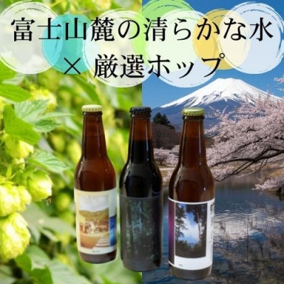 TPM BREWINGの定番ビール【NE IPA】【IPA】【STOUT】飲み比べセット各1本ずつ
