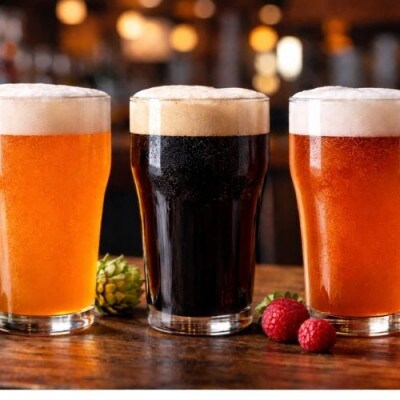 TPM BREWINGの定番ビール【NE IPA】【IPA】【STOUT】飲み比べセット各2本ずつ