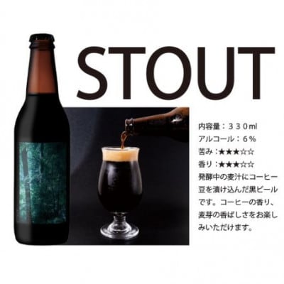 ラベルレス_富士山麓仕込みのクラフトビールTPM BREWING【STOUT】30本セット