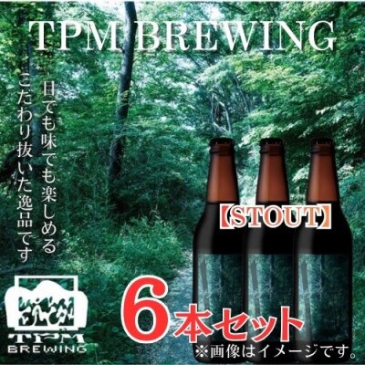 黒ビール好きにおすすめ!富士山麓仕込みのクラフトビールTPM BREWING【STOUT】6本セット