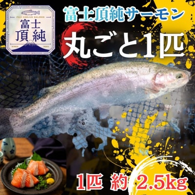 富士頂純サーモンを丸ごと新鮮直送でお届け　1匹約2.5kg(血抜き、エラ・ワタ・ウロコ除去済み)
