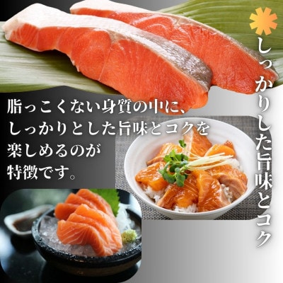 富士頂純サーモンを丸ごと新鮮直送でお届け　1匹約2.5kg(血抜き、エラ・ワタ・ウロコ除去済み)