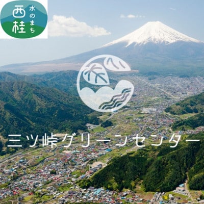 【返礼品なし】地域の憩いを守る施設改修支援_西桂町グリーンセンター応援寄付受付 100,000円