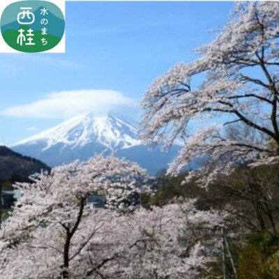 【返礼品なし】「郡内織物」で未来を包む!!小中学生の卒業証書カバー制作支援プロジェクト30,000