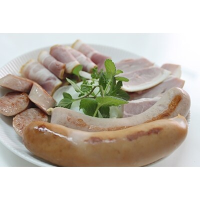 明治屋ドイツメダル受賞セット(A4)