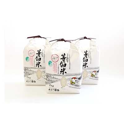【令和2年産】等伯米こしひかり 精米 6kg (2kg×3袋)