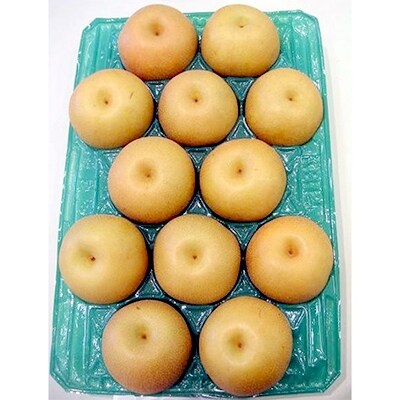 【先行受付】しろいの梨(豊水) 5kg(12~16玉)