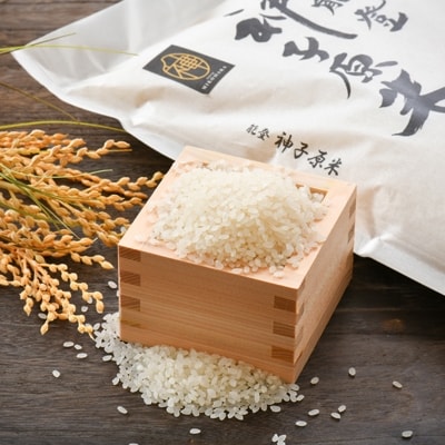 「能登神子原米」10kg×2