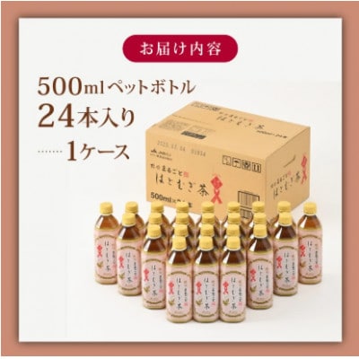 能登のはとむぎ茶　500ml×24本