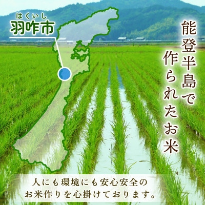 【先行予約】 令和7年産 新米 のと米 精米 10kg ( 5kg × 2袋 )