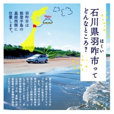 【数量限定】《令和7年産》 コシヒカリ のと米 精米 1kg ×2袋  計2kg