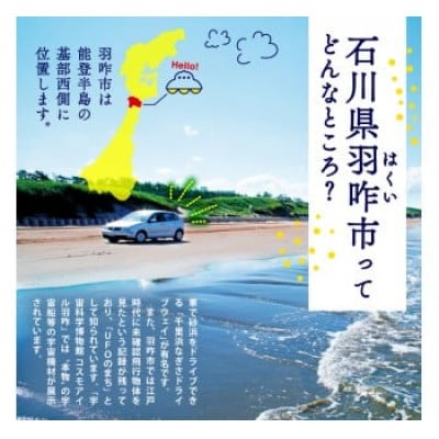 【毎月定期便】《数量限定》のと米 精米 10kg ( 5kg × 2袋 )全3回