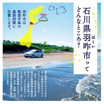 【毎月定期便】《数量限定》のと米 精米 10kg ( 5kg × 2袋 )全6回