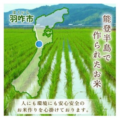【毎月定期便】《数量限定》のと米 精米 15kg ( 5kg × 3袋 )全3回
