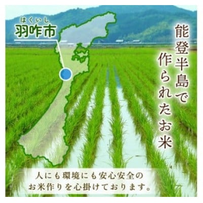 【毎月定期便】《数量限定》のと米 精米 15kg ( 5kg × 3袋 )全6回