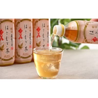 【毎月定期便】能登のはとむぎ茶　500ml×24本全3回