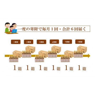 【毎月定期便】能登のはとむぎ茶　500ml×24本全6回