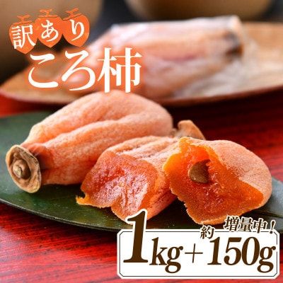 訳あり 令和6年産 ころ柿 1kg + 約150g 増量 化粧箱 能登 名産