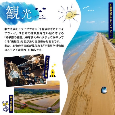 【復興支援】蒸し どら焼き 5個 つぶあん