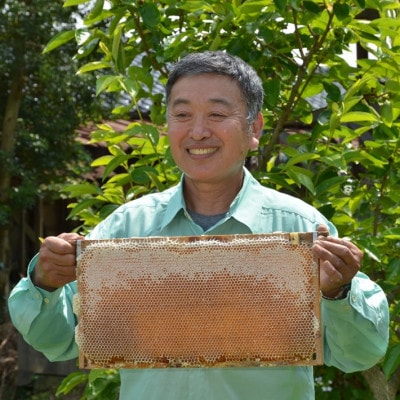 能登産天然はちみつ『りんご蜜』