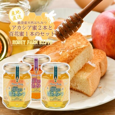 能登産天然はちみつ『アカシア蜂蜜2本&百花蜂蜜』セット