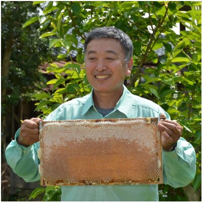能登産天然はちみつ『百花蜂蜜3本』セット